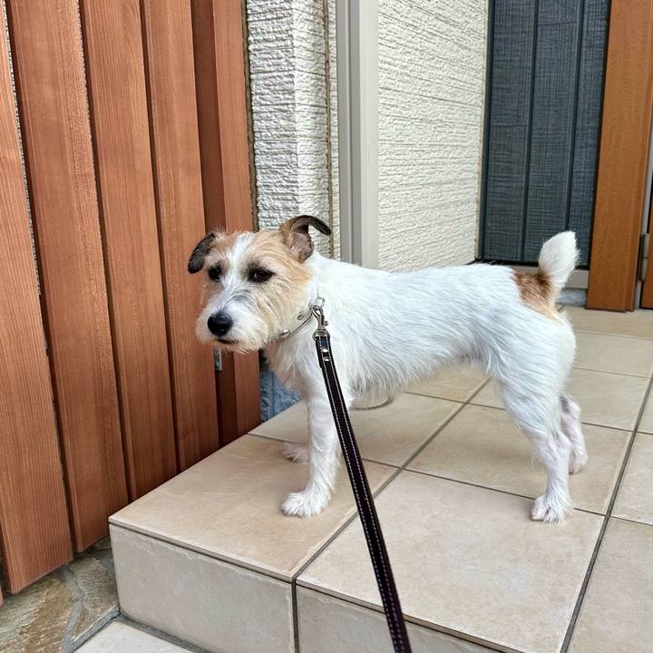 A14a4248 fa23 4dd3 aa4f 22b1bdeb53a3 1757403482215