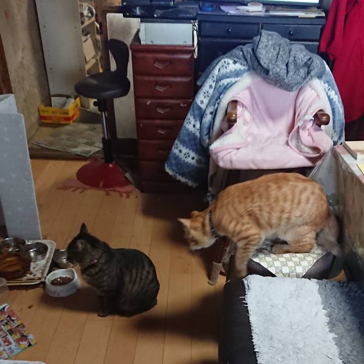 A14a643b 2fd5 42be 8156 555ca039f766 1650440816423