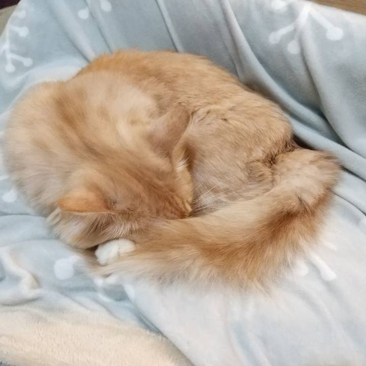 A14a8de6 0e58 49c3 8b73 7a3f4d24fc19 1636793118844