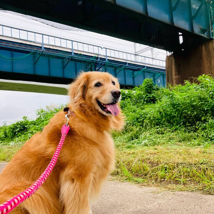 A14b0cde 149b 4dff 8a13 f9b6f1dbe1f8 1724938191509