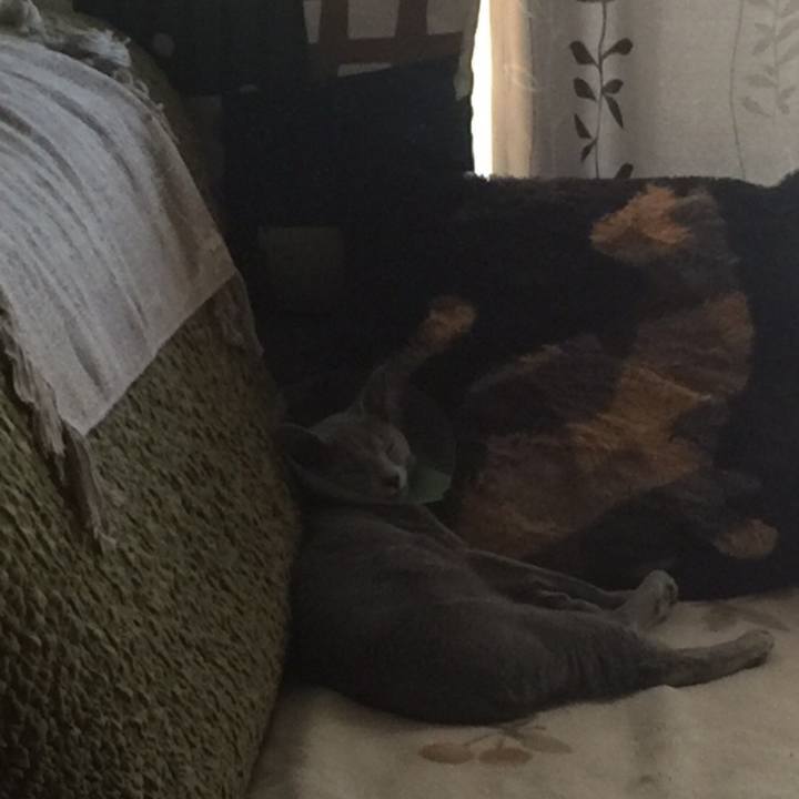 A14b1ec7 694f 45f4 81ce ad106e9626f7 1512996023089