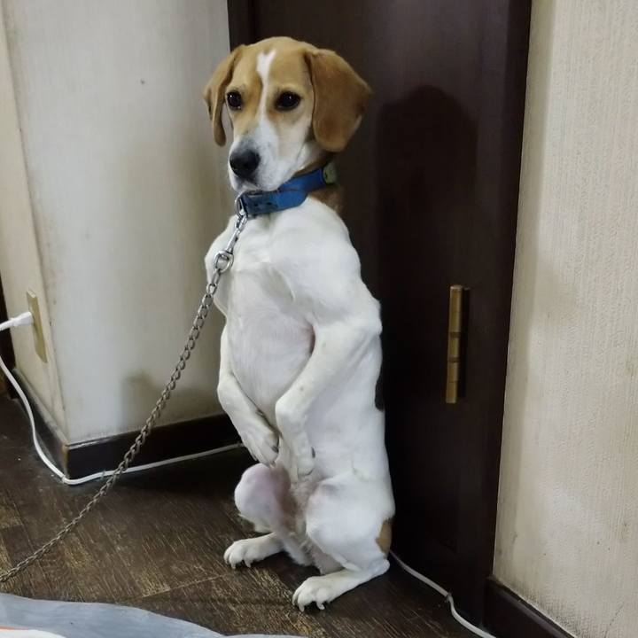 A14b6d78 5c95 417e a57d 5f5e6355a709 1615623160105