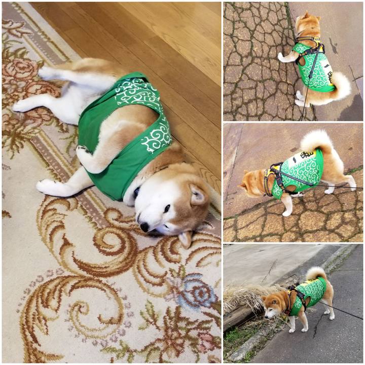 A14b812a bafa 4a14 8b10 4d281d08e6c6 1585798213430