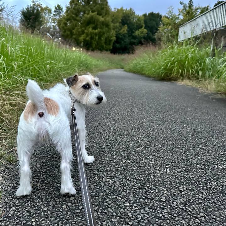 A14b9722 0534 446c 99ec 02a1401f63d2 1729610499108