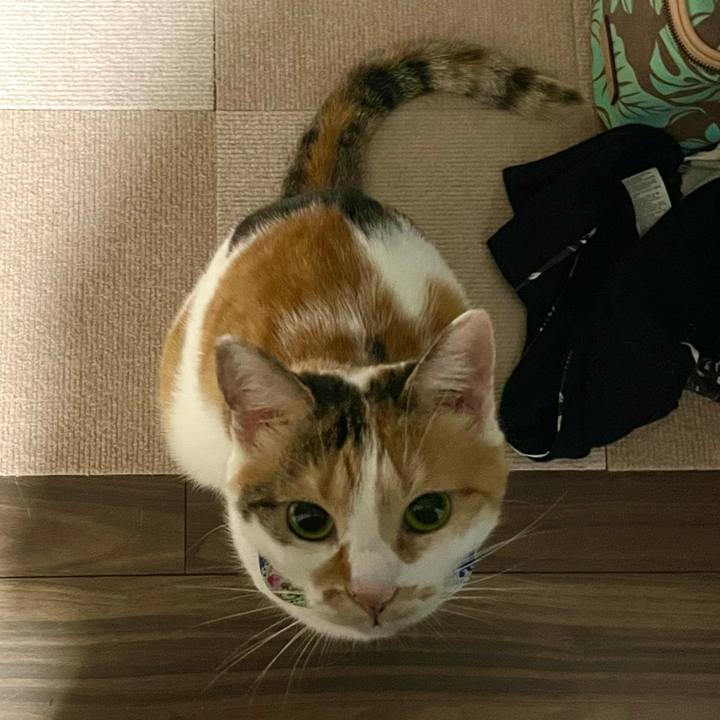 A14ba5a7 4917 4b0d 8077 1b07ebb68e9c 1695393274059