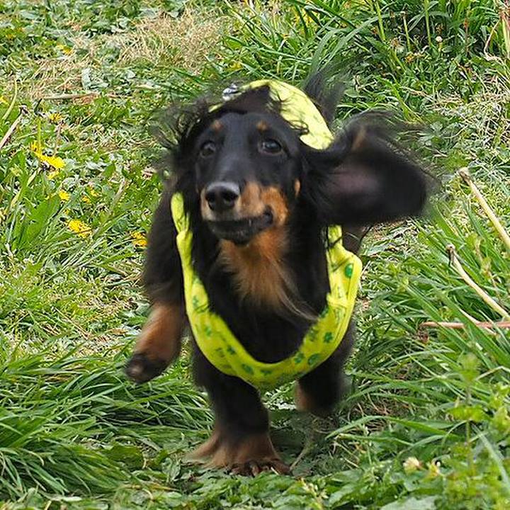 A14bca1a 7d82 472a 806e 228aed77565b 1523839997621