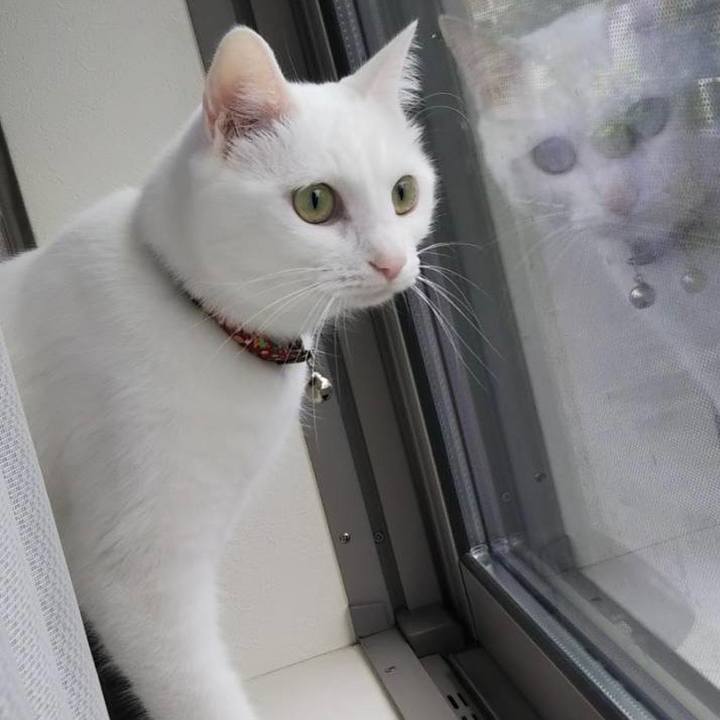 A14bcb63 85a2 4a7f aa0e ff7f10c0f7da 1685669160294