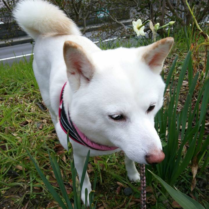 A14bd783 5a88 4417 82a1 2d7d0a7a4f6e 1548389254318