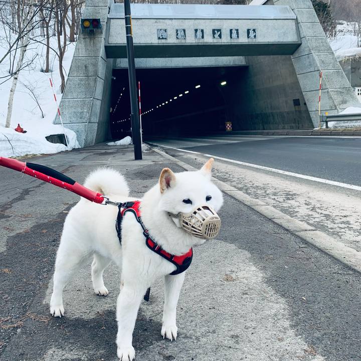 A14c43b0 0886 4430 a1a3 ba5a56cebdb1 1678659953578