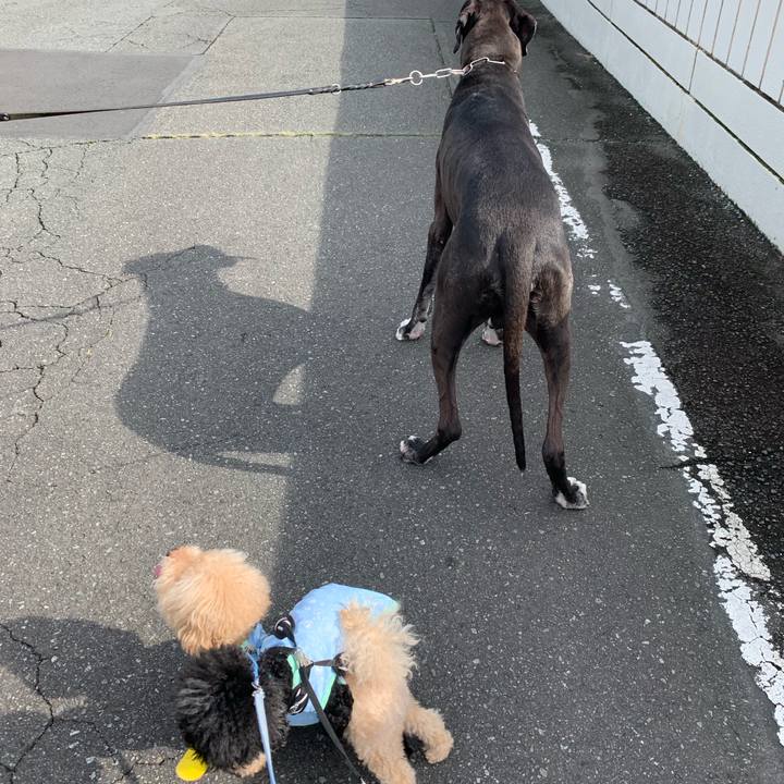 A14c6c61 0189 42c0 958e d9d6a085f445 1564285966433