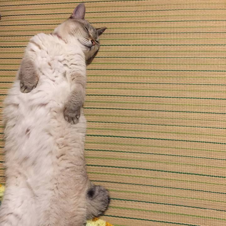 A14c82a6 c6c0 4a20 a4ff 11e13ce98441 1559487298834