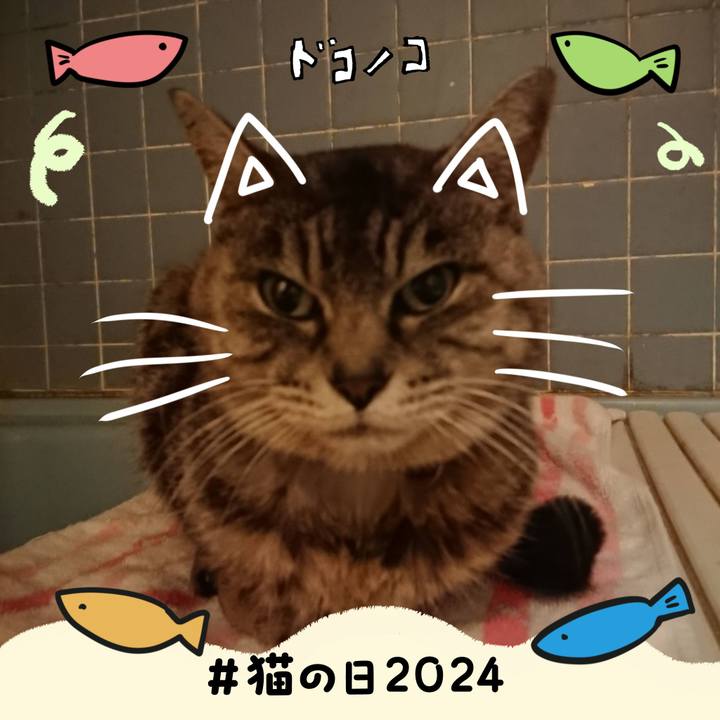 A14c9e74 1977 4c93 807b 1c7e99768aea 1708593604394