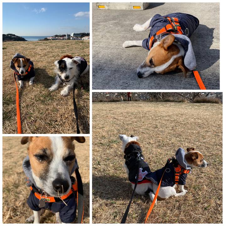 A14cbb35 881c 4c52 a97b 0fff43f2785c 1548206741303