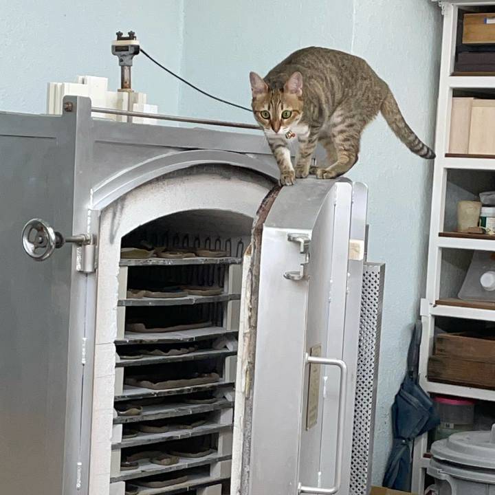 A14cd1f6 c529 4610 8e73 54998405d833 1692368370150