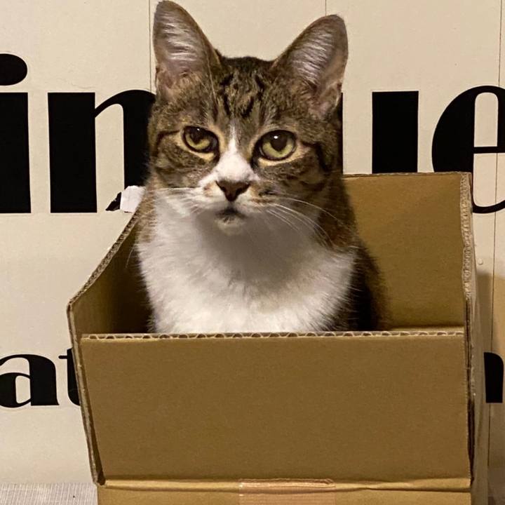 A14cf1d4 dc71 4699 a3ce 66bc245d1026 1616844802937