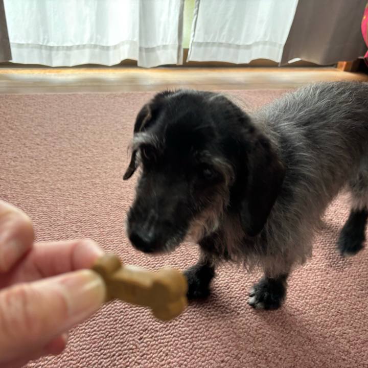 A14d184e 9f83 40f1 88d7 059d0998ffb6 1747351321029