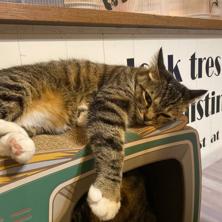 A14d3292 f0fa 4bd2 b49d 28c2c7587253 1631880915557