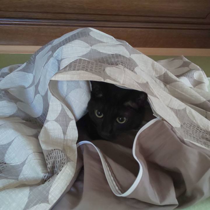 A14d34f1 df11 4773 b5e1 0efe7197e905 1573256240904