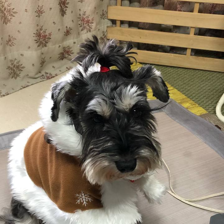 A14d4019 7f6f 4bf1 bee5 fc19a25a667f 1608970350903