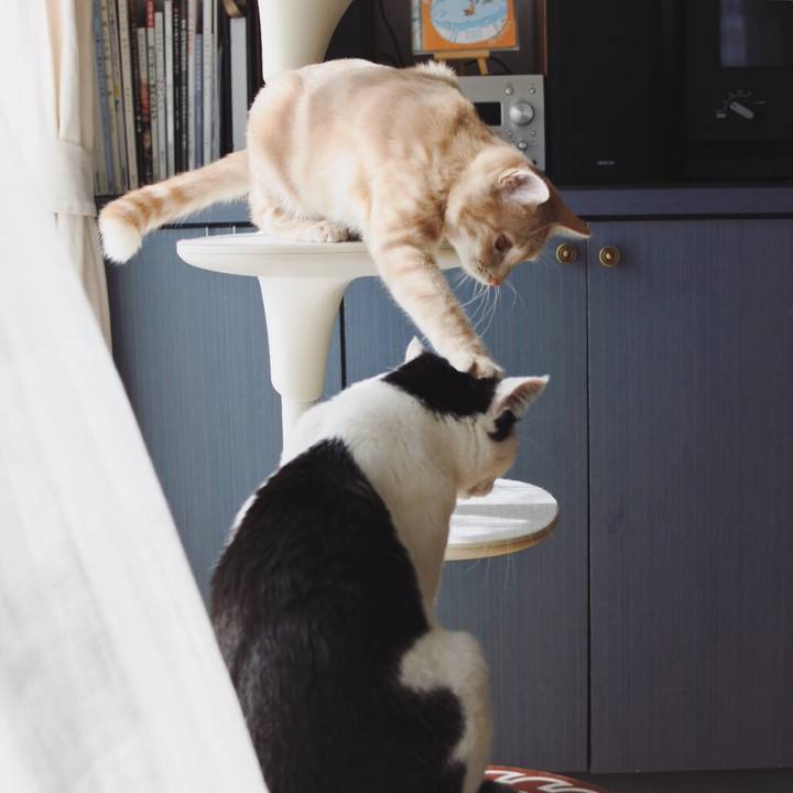 A14d4e0b 4ce9 4942 92f4 6952b52c88f6 1554611437327