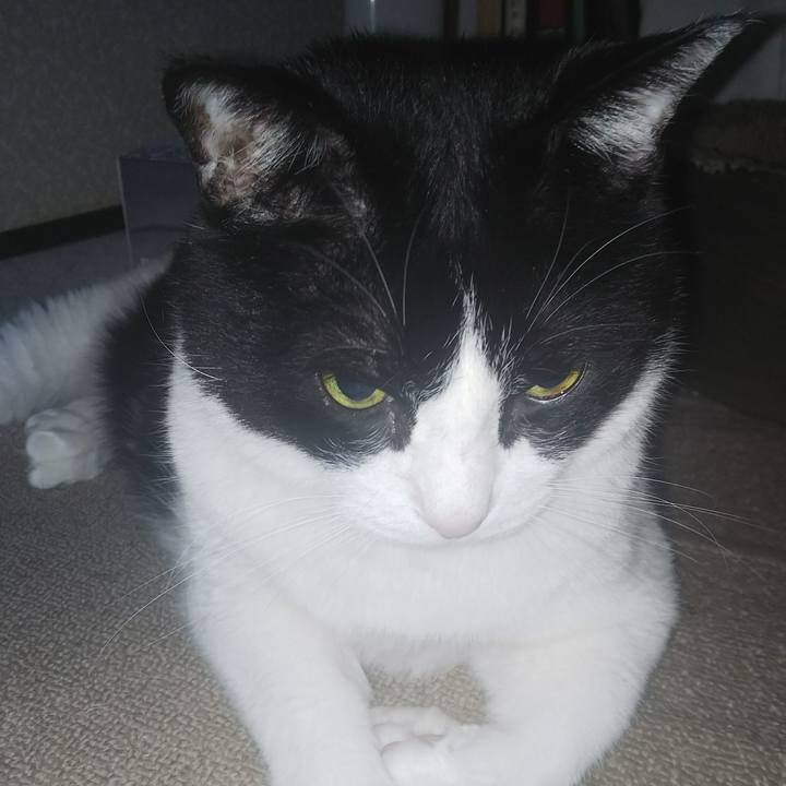 A14d5fb4 927b 4ed7 bbc0 520d31adcea8 1533592035012