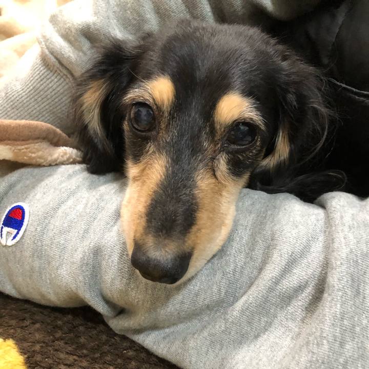 A14d8612 5efd 453d 810c 9c4e8cdc6af0 1609403766936