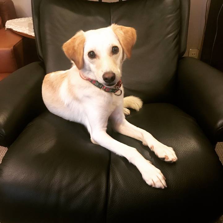 A14dd7d2 0d5b 4a5a ba8d e6ab4a7bc59f 1538661961208