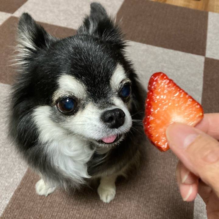 A14df4e0 09a4 4210 871c 509c0fd9883b 1770962406292