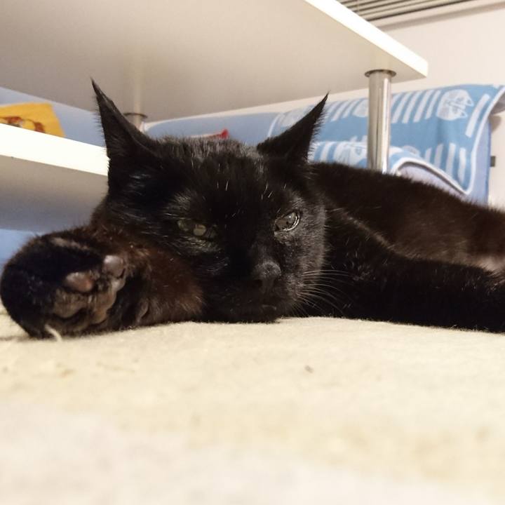 A14dfc14 ce78 44b9 9290 24b341df6966 1565348352532