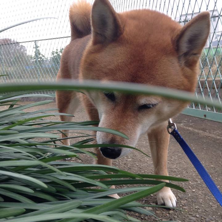 A14e0589 8e71 45a5 8ce3 8cf3da3c450f 1544511176134