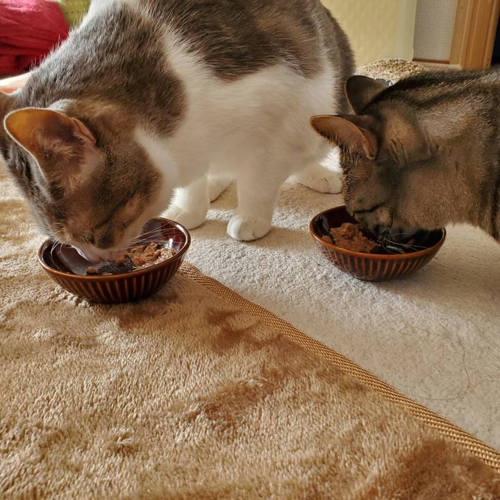 A14e1f8c 9fd1 43bc adf3 3855f2c6b46b 1710137907747