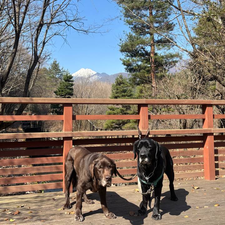 A14e3049 0679 4f32 a57c 67d2b2e59753 1774176918143