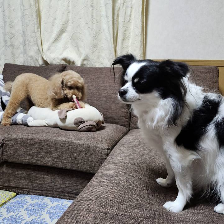 A14e5283 b910 4e14 9342 7ebb5f274cae 1765754179386