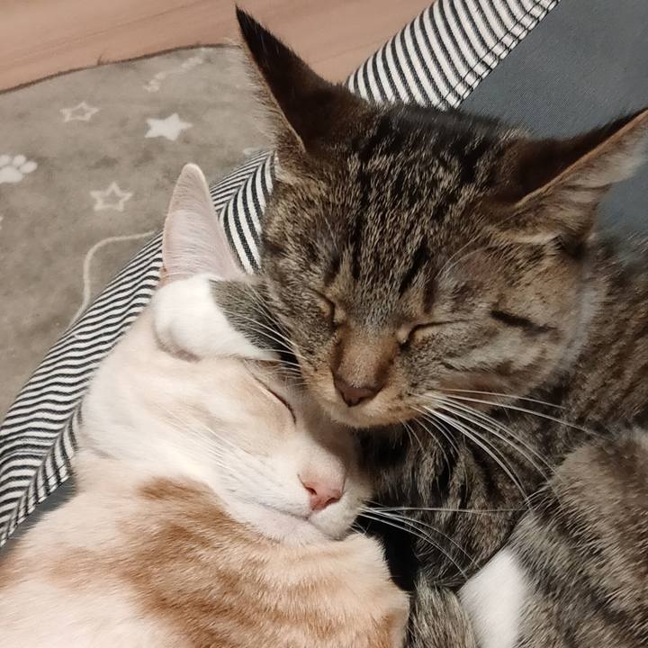 A14e87f0 edf7 499d b728 363cc428b5c1 1678791345138