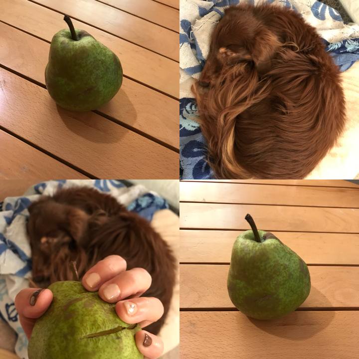 A14ed493 cb7c 4808 bacb 963c4a6c5de0 1510526053378