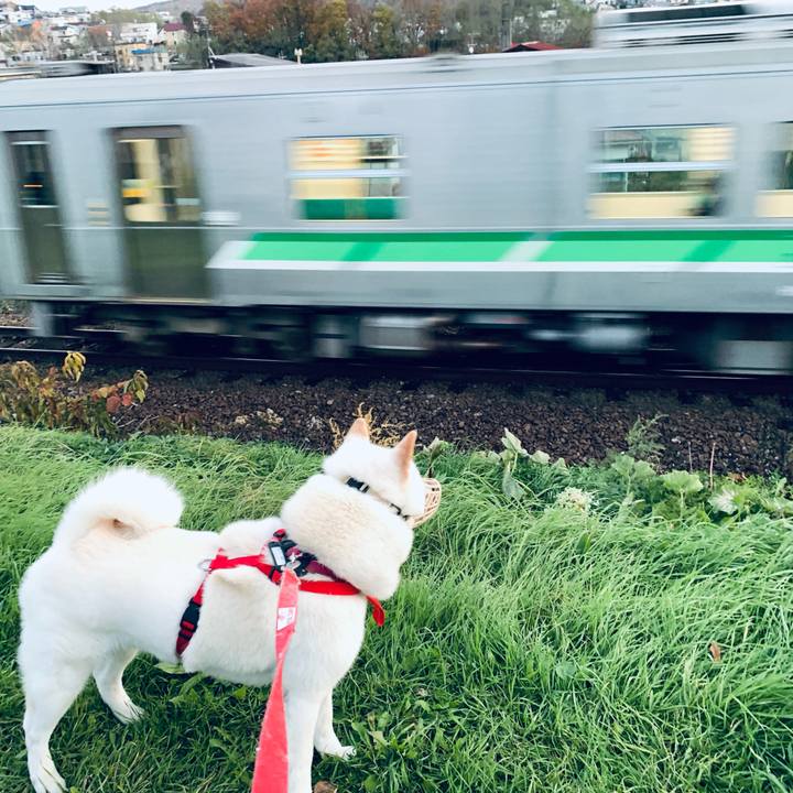 A14efac3 4c56 4ebc 83ff f301ad895deb 1604612991420