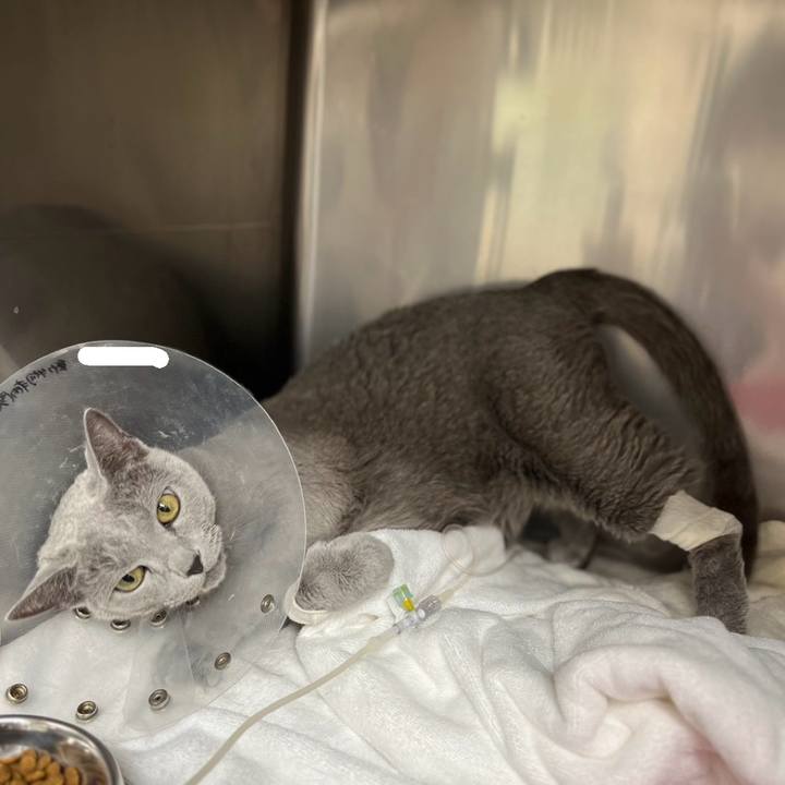 A14f0d90 c270 4e28 9bf4 10413df9c197 1750934982153