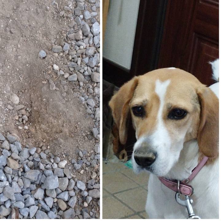 A14fb268 d7a8 45c1 bb90 4f81d862b88f 1593768468815