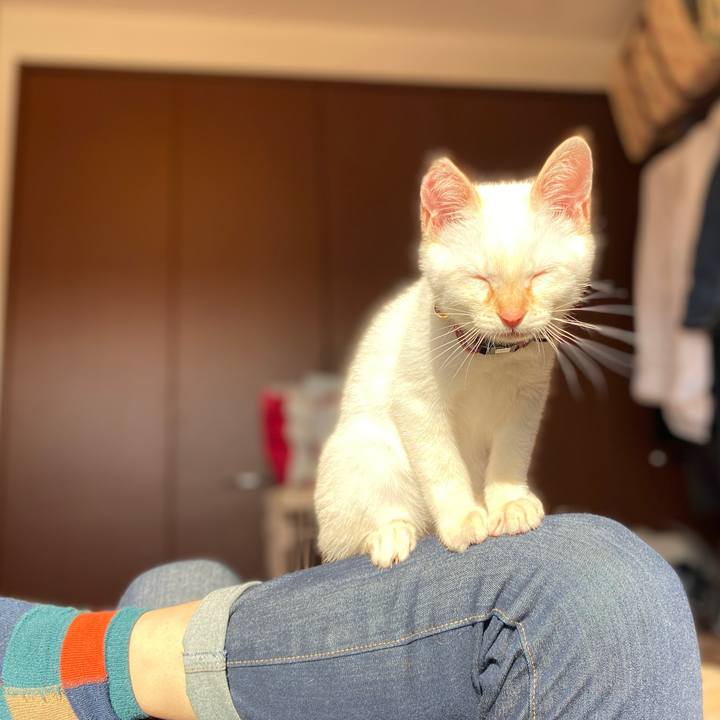 A14fb2c4 9ee8 42f1 bdd8 bced7e2f65f5 1574572035712