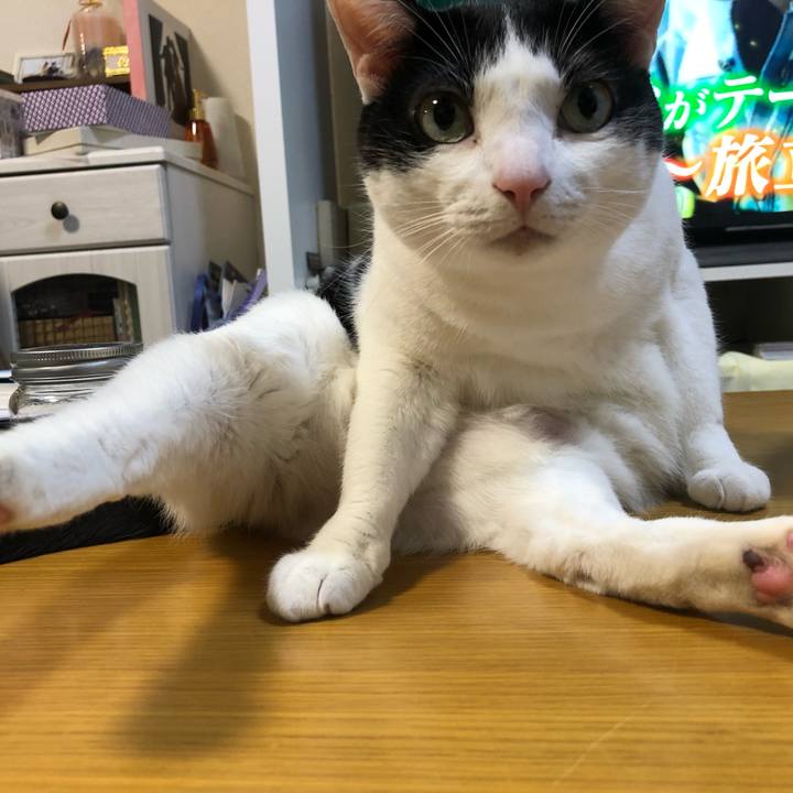 A14ffb80 1191 435f a7d5 f4b4b87c974f 1616059049674