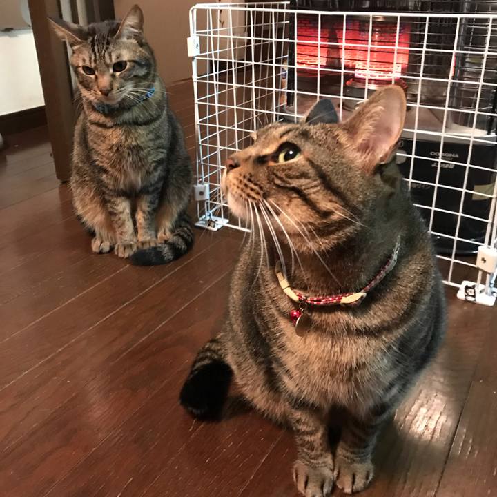 A15018ea bad9 466f baa4 3b475c8b842b 1578765140400