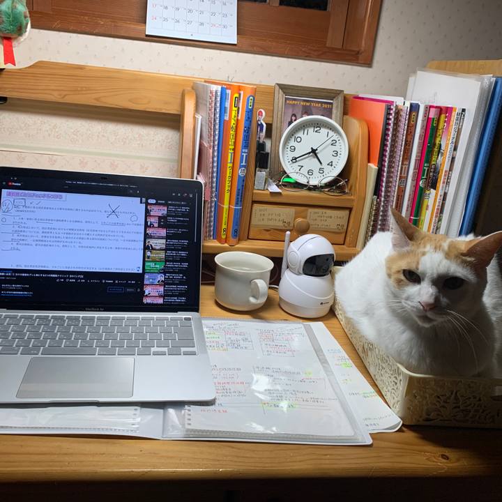 A15037a8 02bb 4666 ae8d e59fe6b74ebe 1650492126519