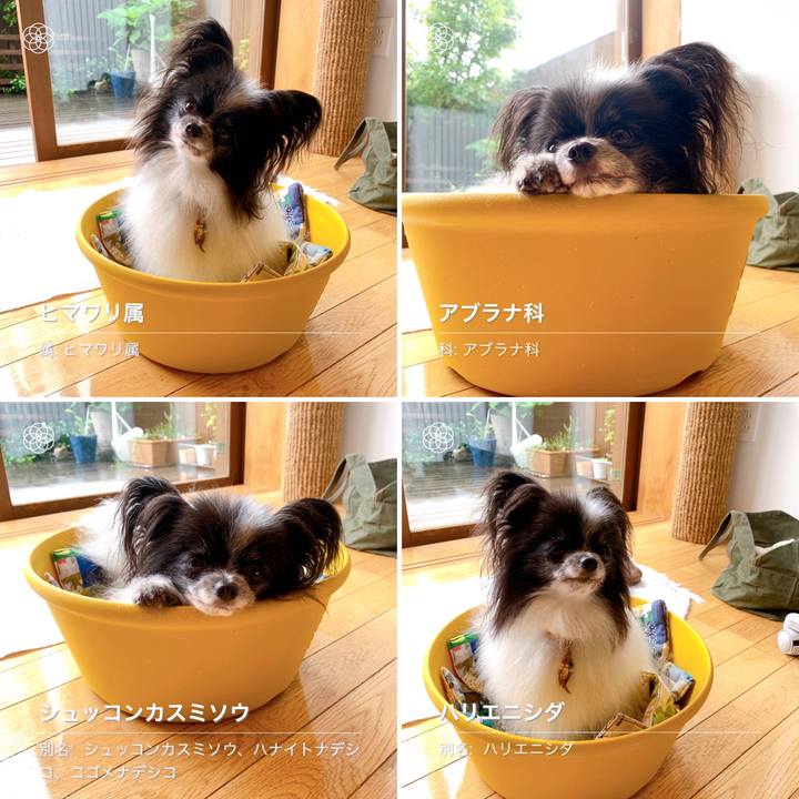 A1508834 0af9 4651 bdd9 9d732dda0fe9 1595633145386