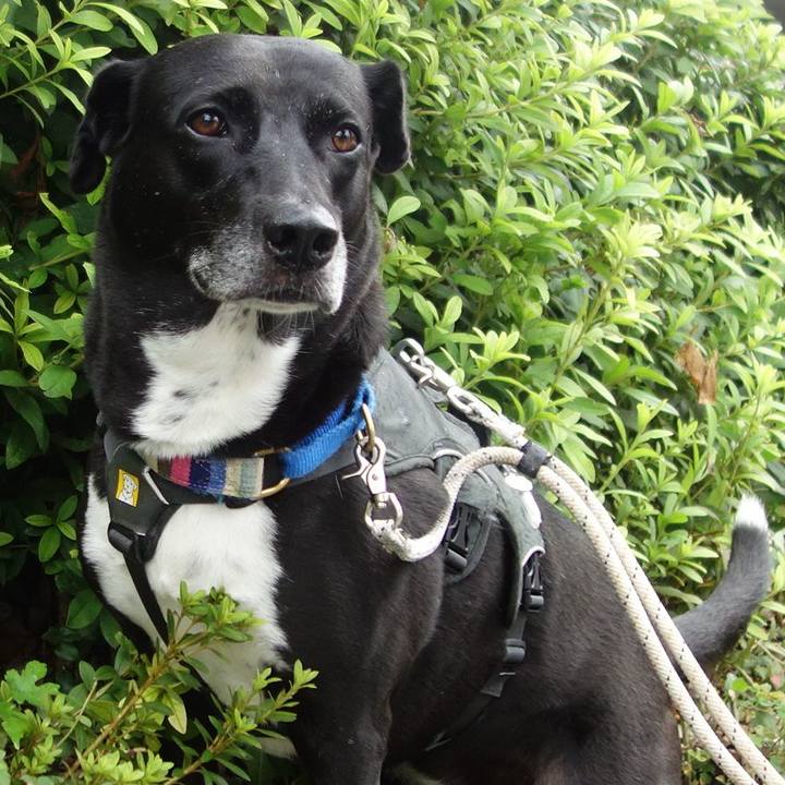 A1509d7b b367 4fc6 8252 a732a114c95d 1662776335101