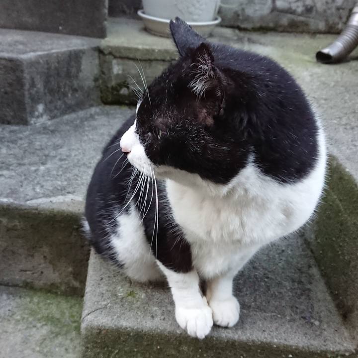 A150a5a4 739e 429d a3d8 131e0bbb5274 1671161460424