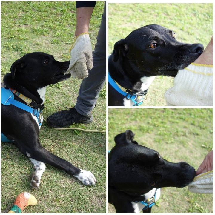 A150e774 b9c8 4ecd 8f91 9c09fed12c80 1620619217953