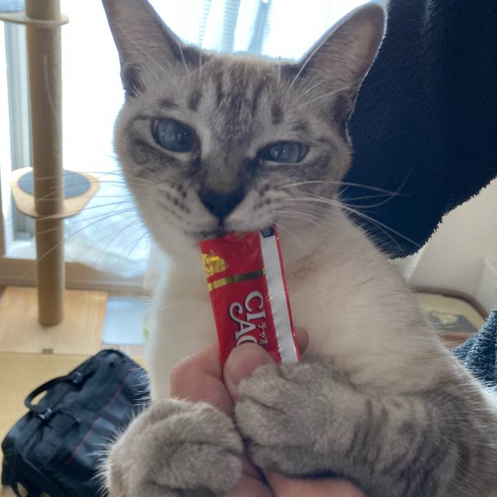 A15105dc e95d 43a3 8c2b 66c5a2075796 1603150127194