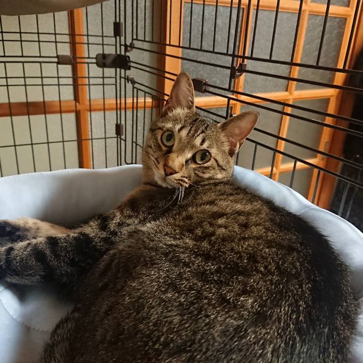 A1513da4 ab01 44b8 9e93 133508f7fe57 1528544636073