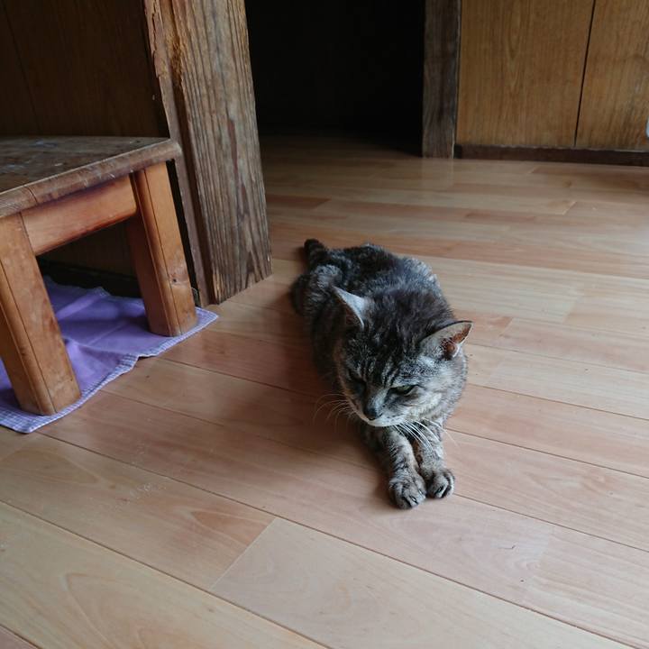 A1513ef1 cf79 4a98 ac59 2360a71841f8 1596603284019