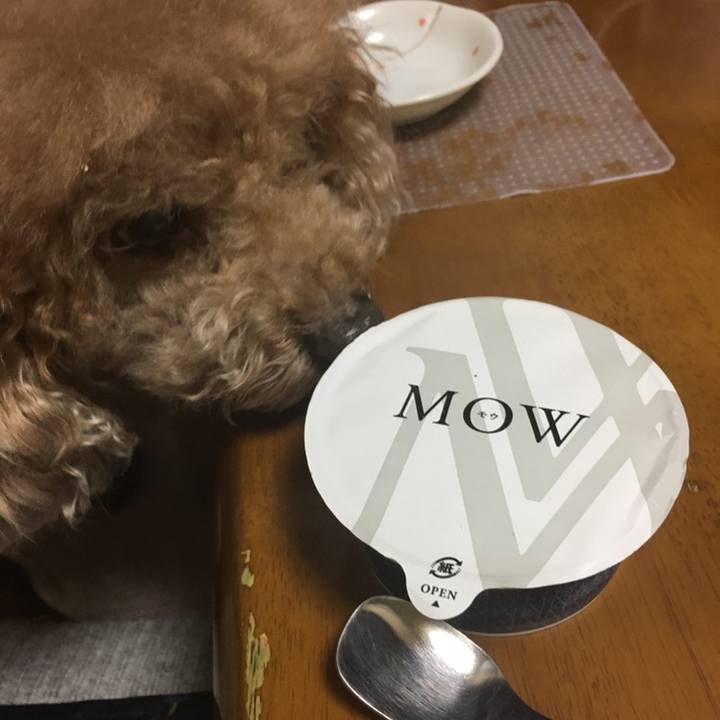 A1514576 a04d 489a ba3e 524855a21756 1557494278160